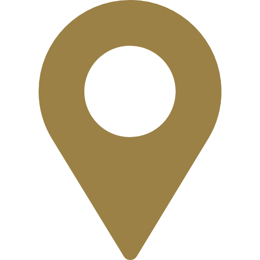 location icon
